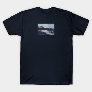 We ate all the Fish, Now What? T-Shirt